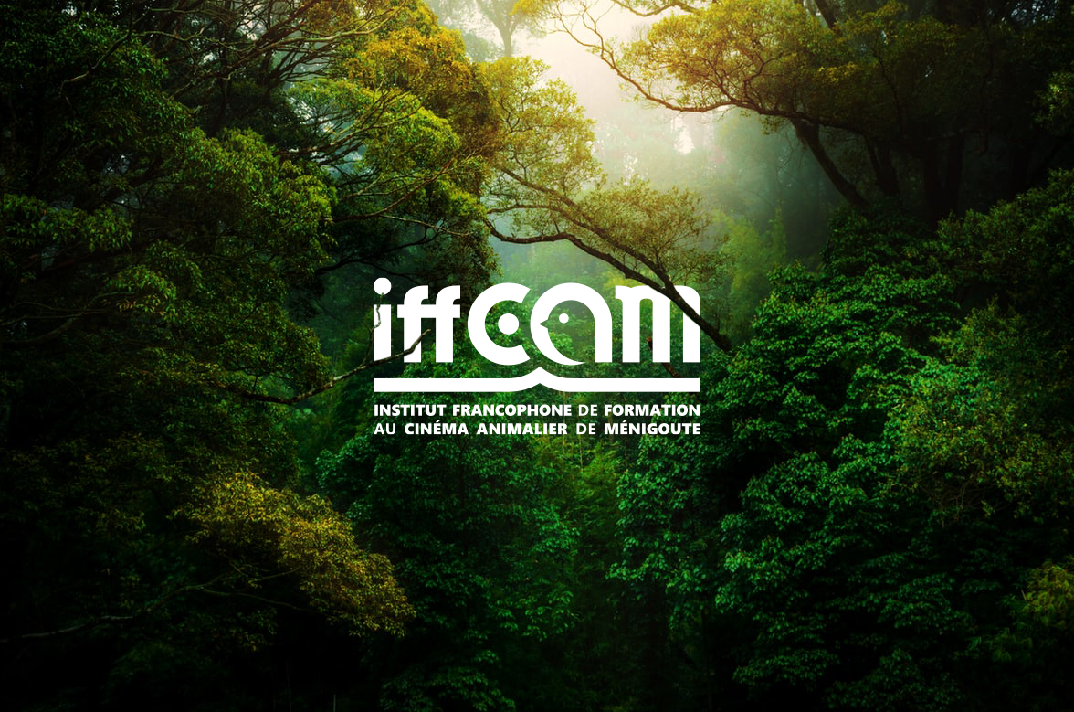 Logo IFFCAM