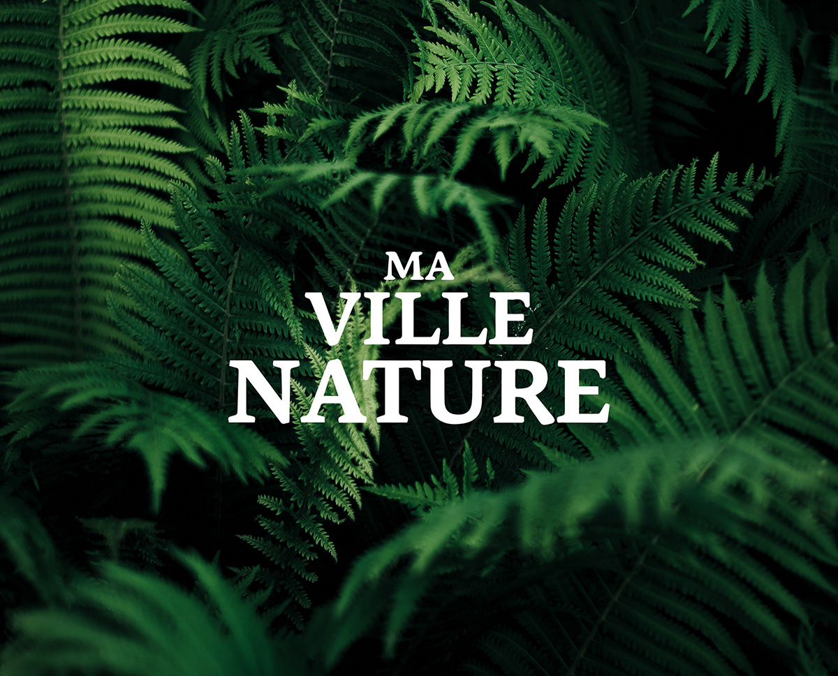 Logo & Direction artistique